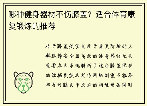 哪种健身器材不伤膝盖？适合体育康复锻炼的推荐